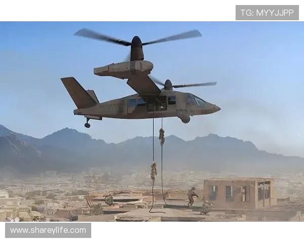 未来可期武什科维奇两战争顶成功率超九成展现统治级空中实力