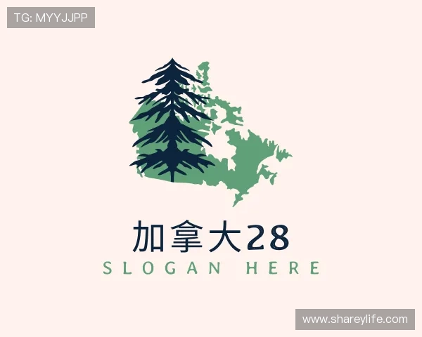 关于加拿大28